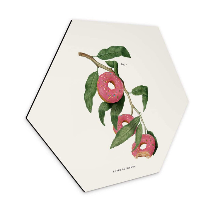 Hexagon - Alu-Dibond Loose - Donut Pflanze - WA332571