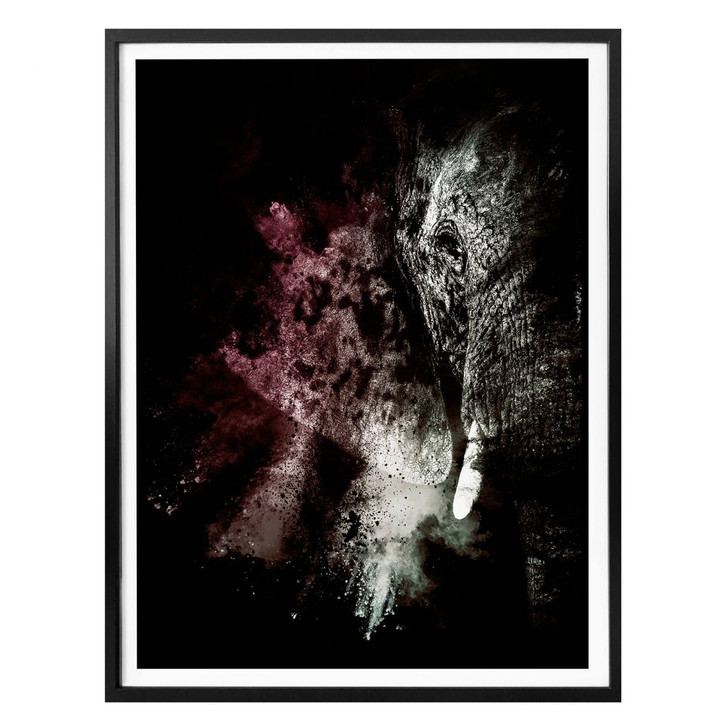 Poster Hugonnard - Wild Explosion: Elefant 02 - WA280902