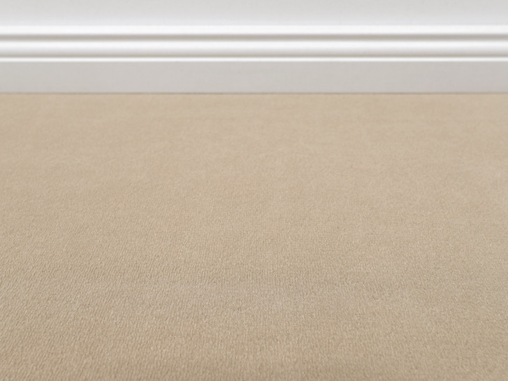 Vorwerk® Modena Teppichboden Meterware in 8a80 - TS546468