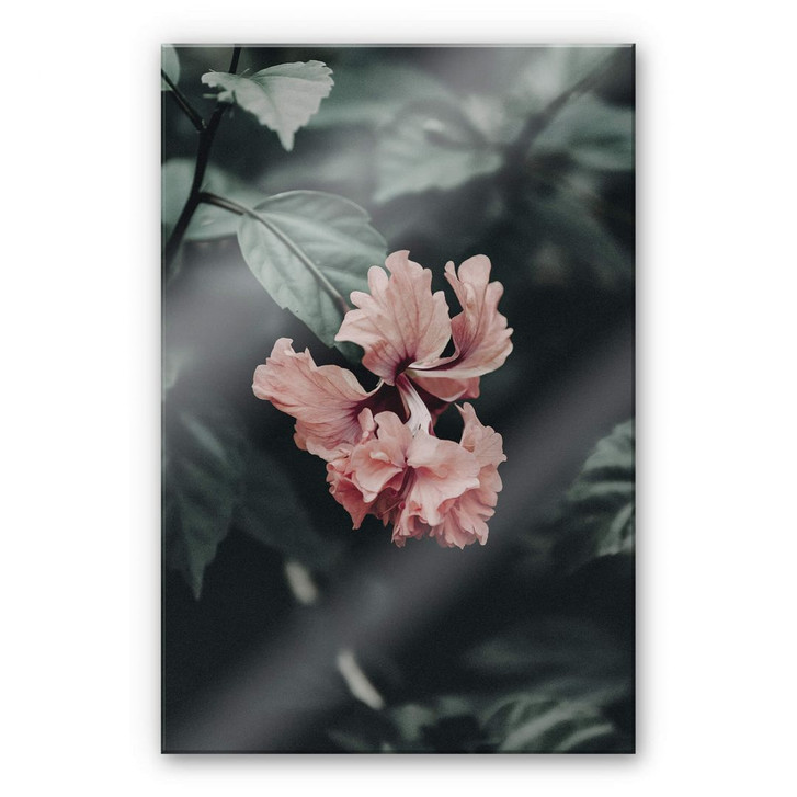 Acrylglasbild Tropische Blüte - WA230629