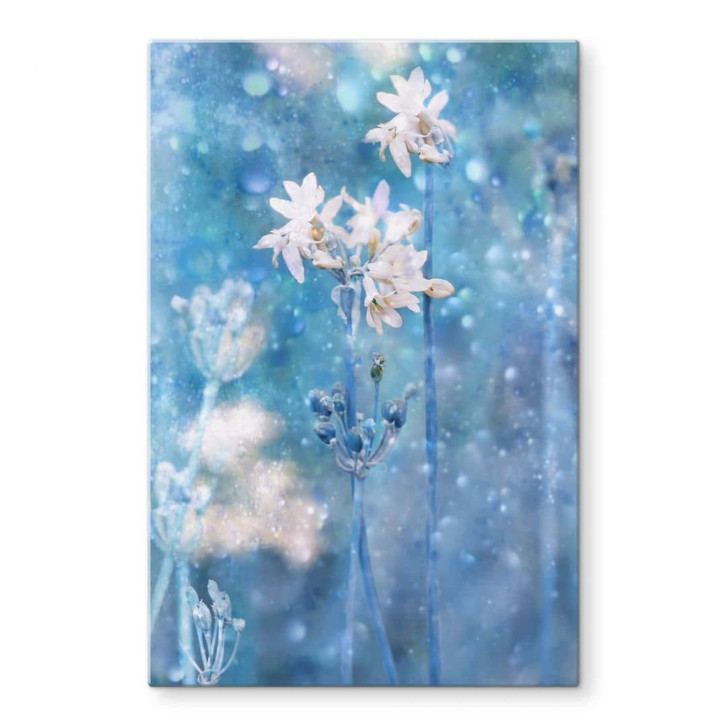 Glasbild Devos - Magie der Natur - WA320488