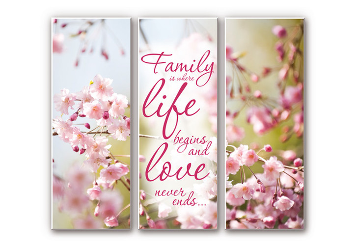 Hartschaumbild Family is where Life begins (3-teilig) - WA129889