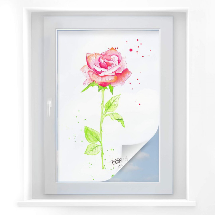 Sichtschutz Buttafly - Rose - WA173612