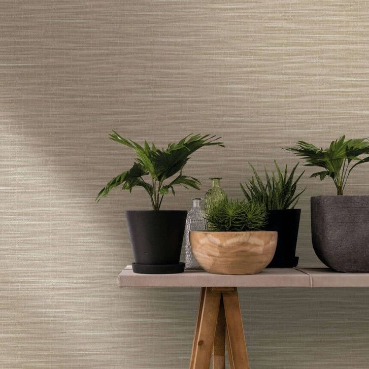 Vliestapete in meliertem Uni beige Struktur - WA450352