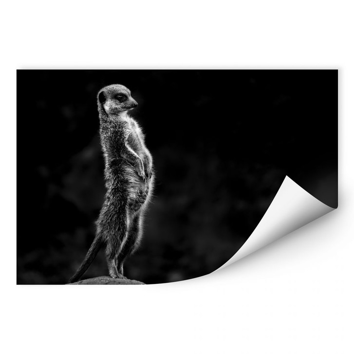 Wallprint van Son - Wachsamkeit - WA190963