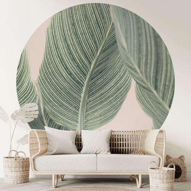 Fototapete Calathea Pflanze - Sisi & Seb - Rund - Selbstklebend/Vlies - WA424648