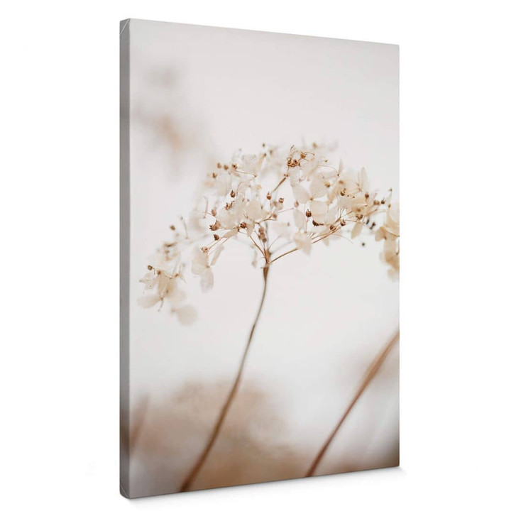 Leinwandbild 1X Studio - Zweig mit zarten Blüten - WA357461