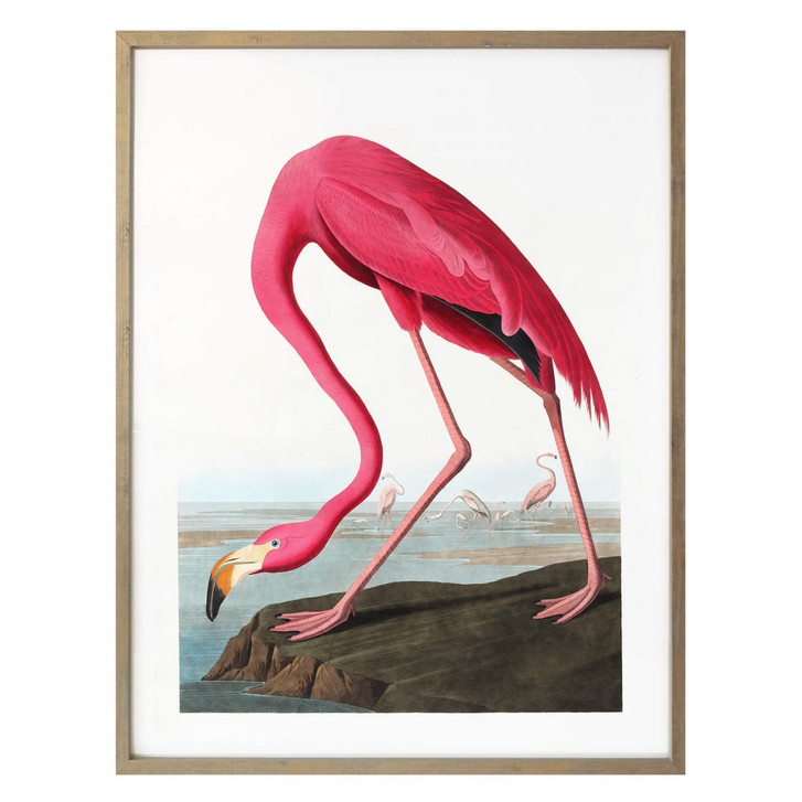 Poster Pink Flamingo - WA258795