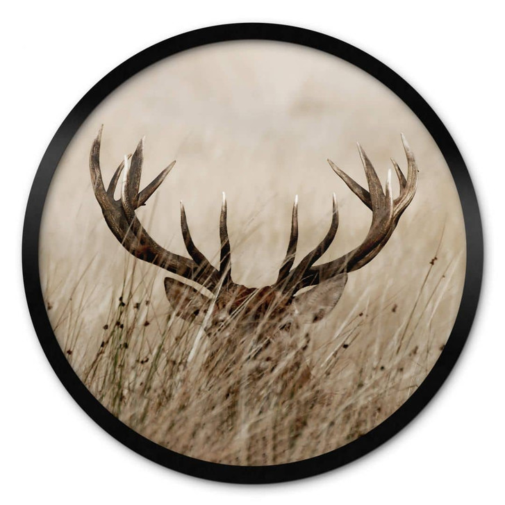Poster Wachsamer Hirsch - Rund - WA329265