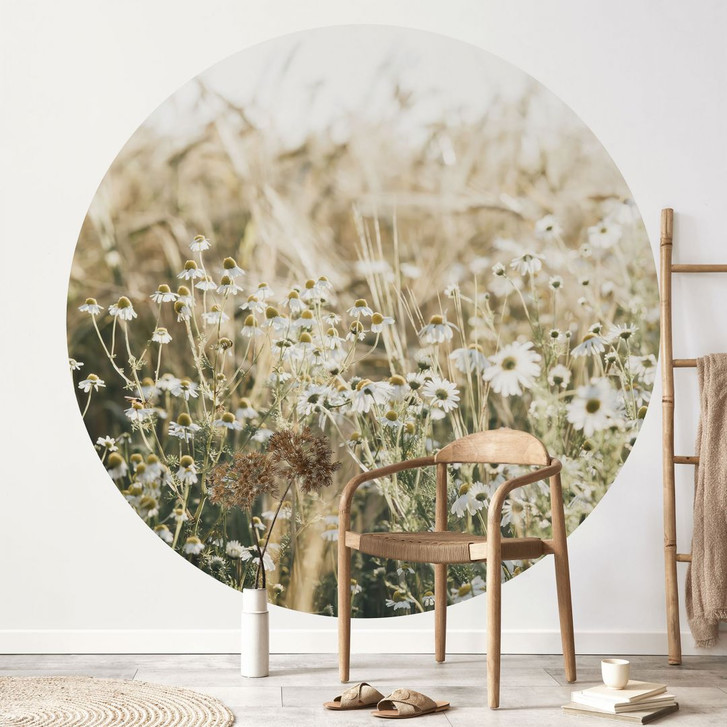 Blumen Fototapete Sommerwiese mit Kamille - Annie - Rund - Selbstklebend/Vlies - WA471232