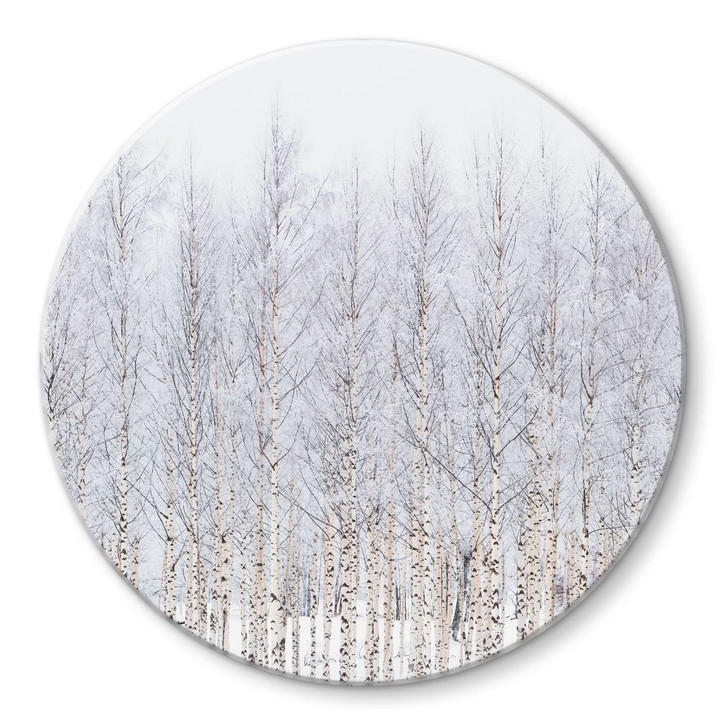 Glasbild Birkenwald im Winter - EMELIEmaria - Rund - WA495012