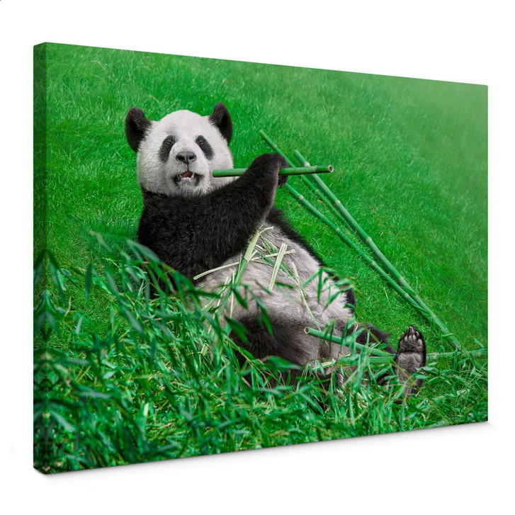 Leinwandbild Ben Heine - Glücklicher Panda - WA358400