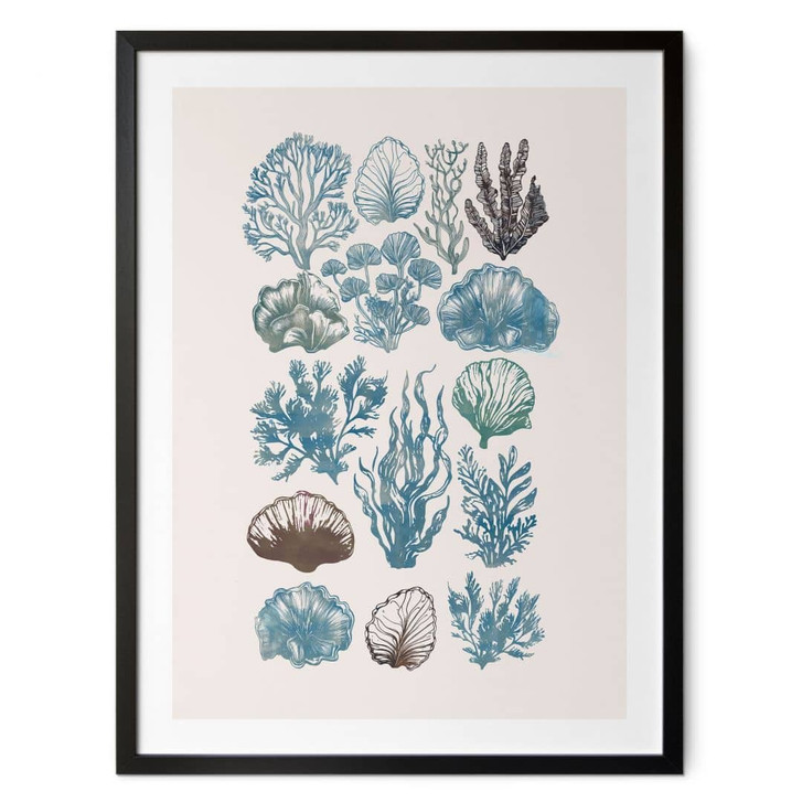 Poster Filigrane Algen und Muscheln - casa cartissi - WA460146