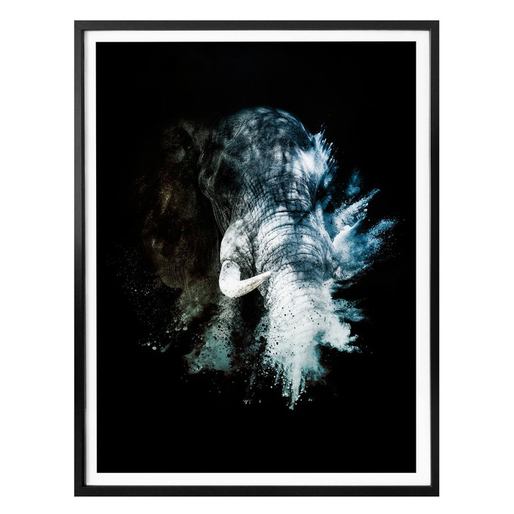 Poster Hugonnard – Wild Explosion: Elefant - WA280982
