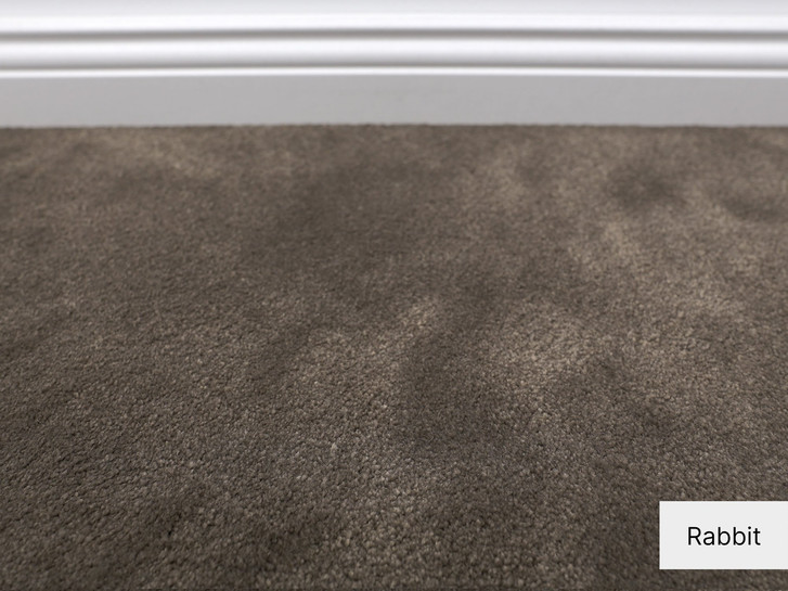 Emily Velours Teppichboden Meterware in Rabbit - TS479954