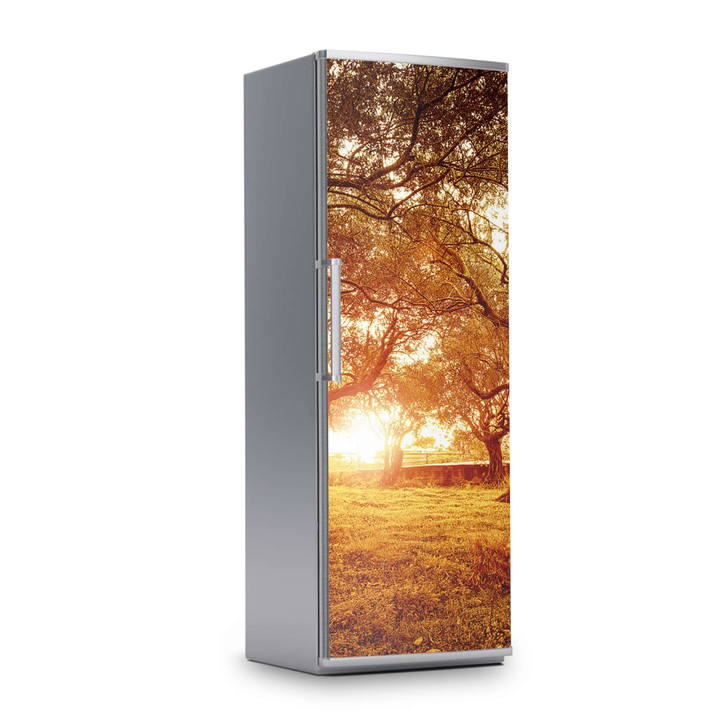 Kühlschrankfolie 60x180cm - Tree Sunlight - CR113163