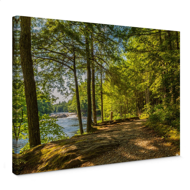 Leinwandbild Waldweg am Fluss - WA376894