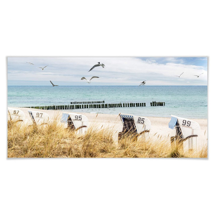 Poster Strandkörbe an der Ostsee - WA239873