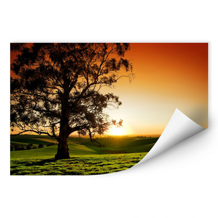 Wallprint Sonnenuntergang über den Hügeln - WA189240