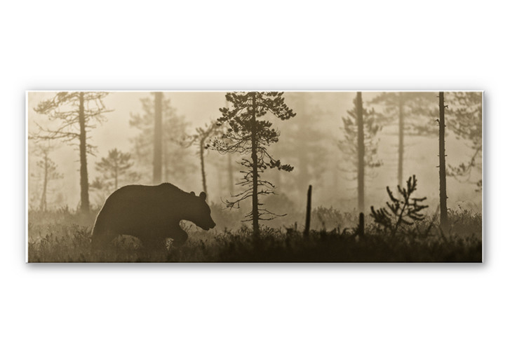 Wandbild Ove Linde - Nebel am Morgen - Panorama - WA195058
