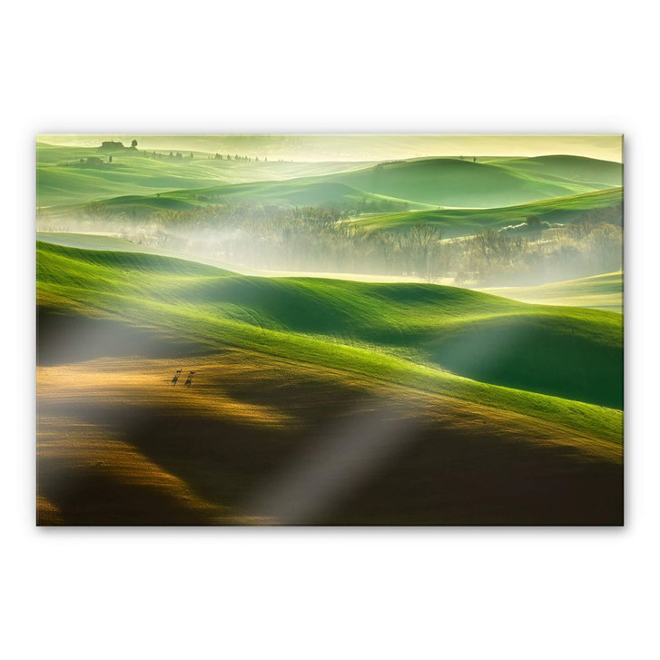 Acrylglasbild Browko - Grüne Wiesen - WA230176