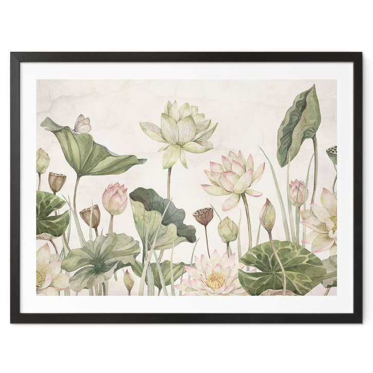 Poster Sir Edward - Seerosen Idyll in Pastell - WA380327