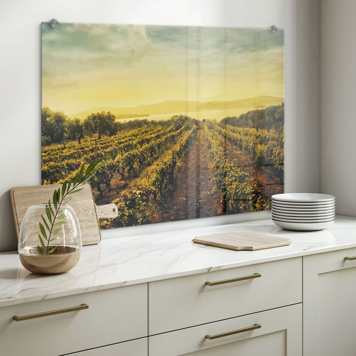 Spritzschutz Weinreben im Sonnenuntergang - WA179711