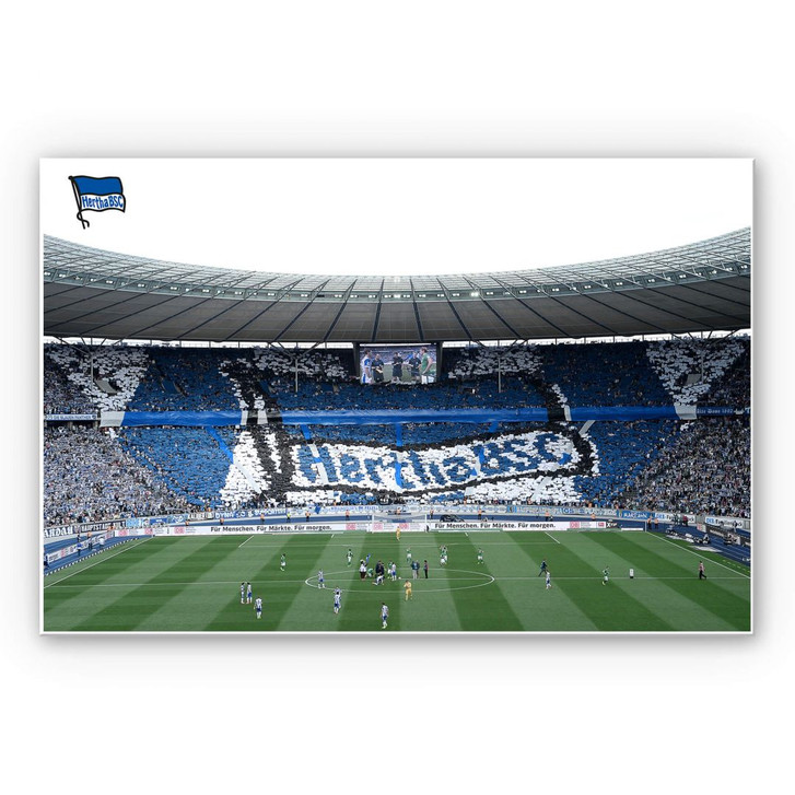 Wandbild Hertha BSC - Spielstart im Stadion - WA192924