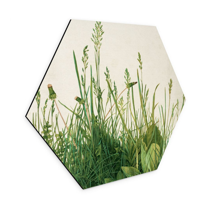 Hexagon - Alu-Dibond Dürer - Das grosse Rasenstück - WA309295
