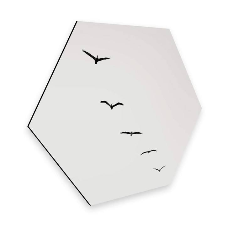 Hexagon - Alu-Dibond Kubistika - Hoch am Himmel - WA299557