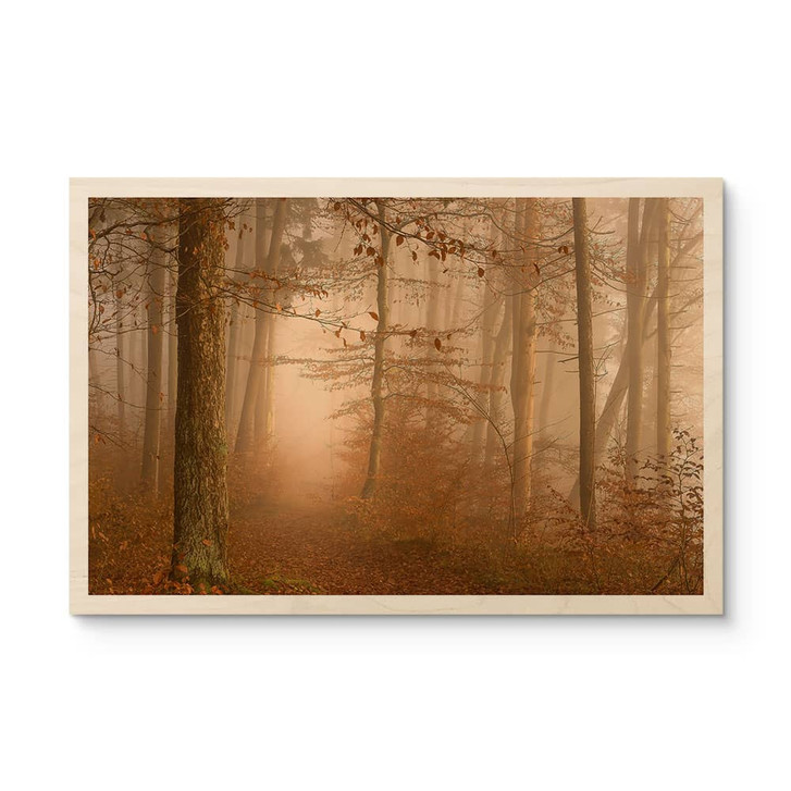 Holzbild Dunst und Licht im herbstlichen Wald - Maier - WA449783