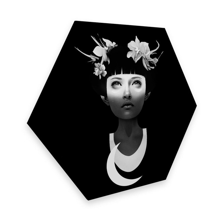 Hexagon - Alu-Dibond Ireland - Hyperdusk - WA295377