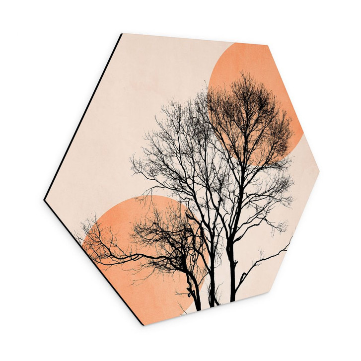 Hexagon Wandbild Sonne und Mond in Orange - Kubistika - Alu-Dibond - WA395095