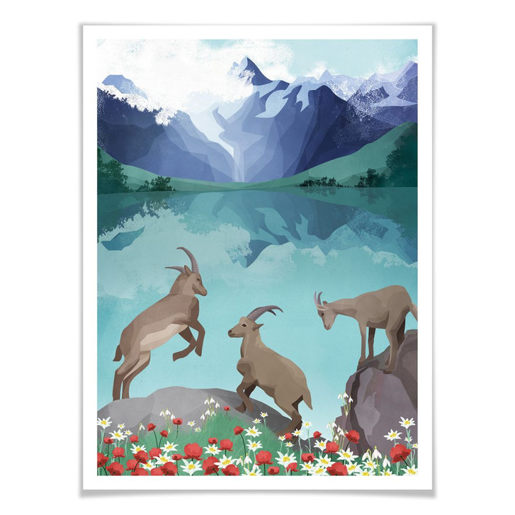 Poster Goed Blauw - Steinböcke in den Bergen - WA247551