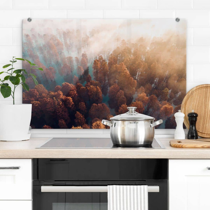 Spritzschutz Herbstwald im Nebel - Ioricon - WA410547