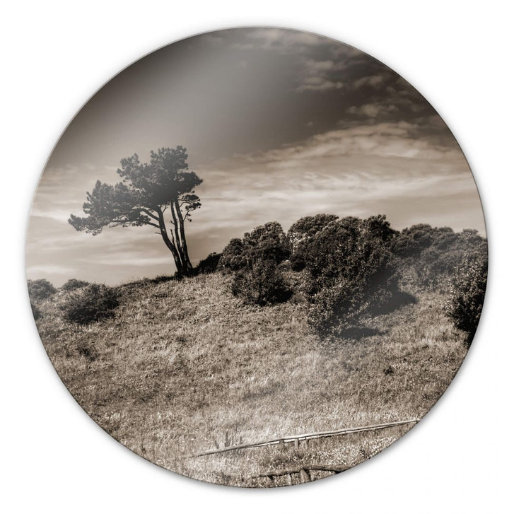 Glasbild Landschaft auf Hiddensee - rund - WA124599