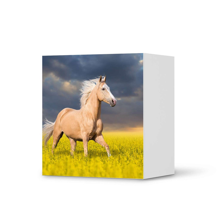 Klebefolie IKEA Besta Regal 1 Türe - Wildpferd - CR109251