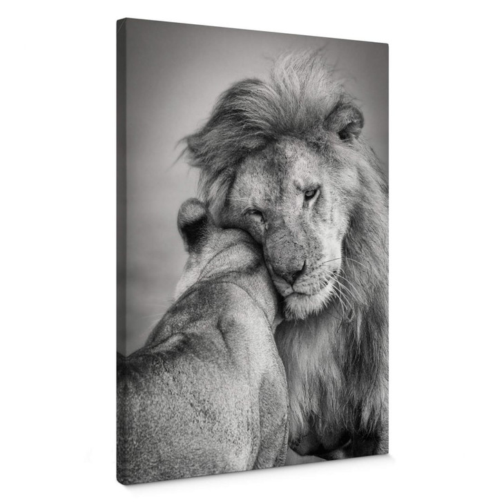 Leinwandbild Khataw - Liebe unter Raubkatzen - WA366458