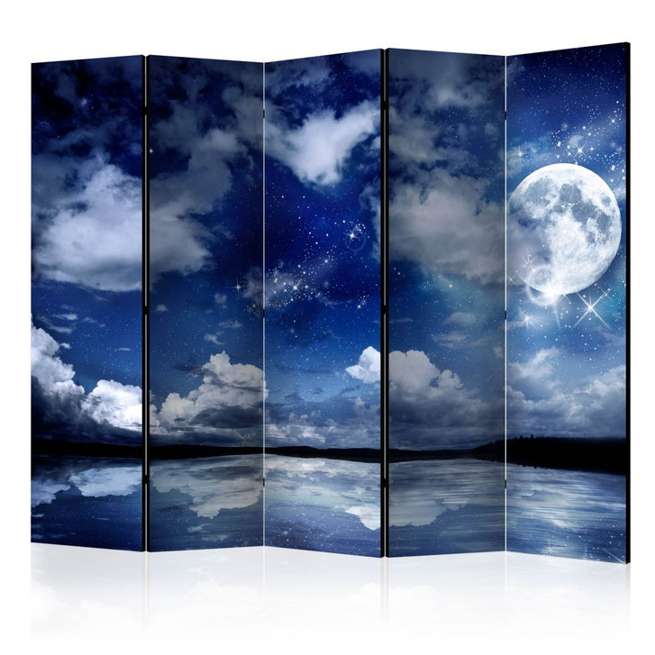 Paravent, Raumteiler freistehend, Trennwand - Magic Night II, 5-teilig - einseitig bedruckt - 225 x 172 cm - WA438180
