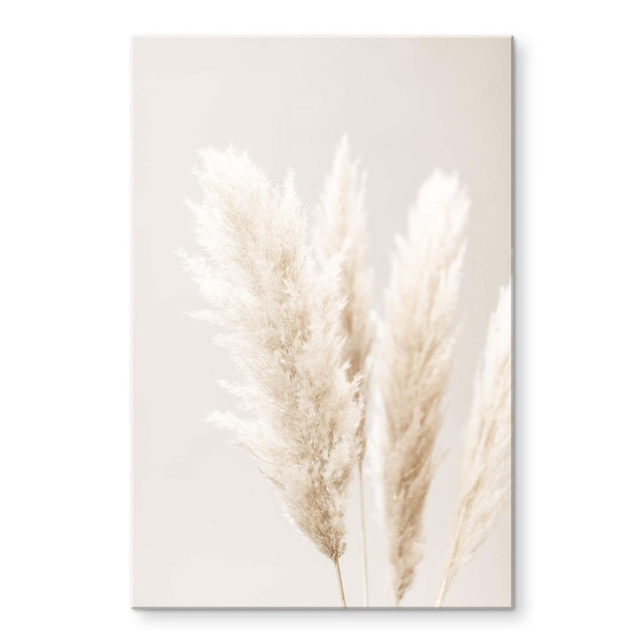 Acrylglasbild 1X Studio - Pampasgras - WA319385