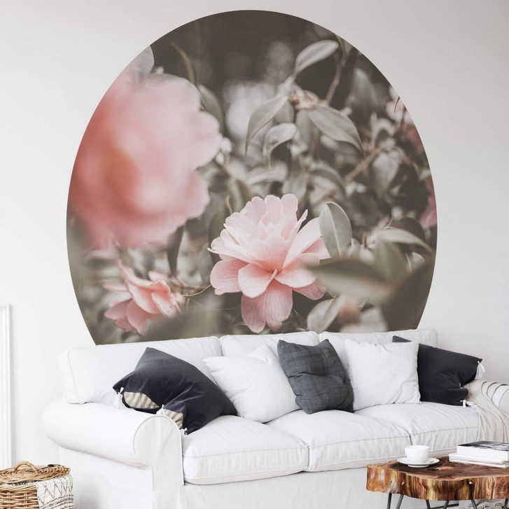 Fototapete Annie - Rosenblüte - Rund - Selbstklebend/Vlies - WA320196