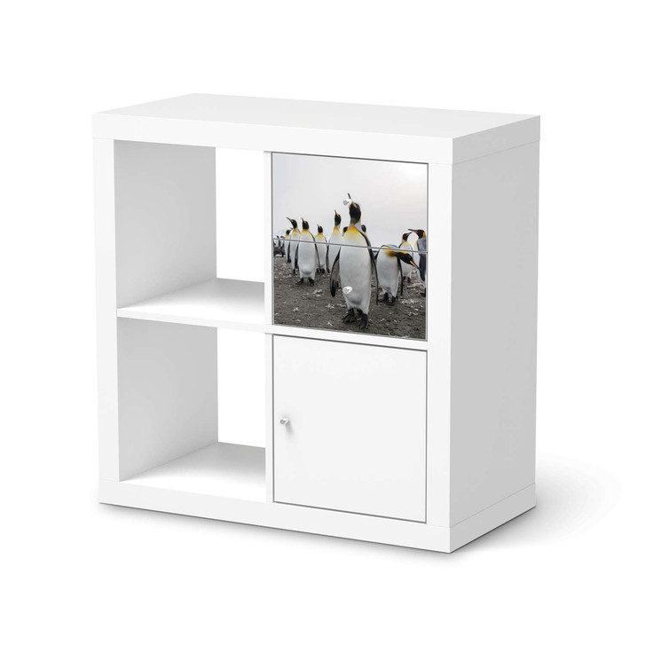 Möbelfolie IKEA IKEA Expedit Regal Schubladen - Penguin Family - CR115121
