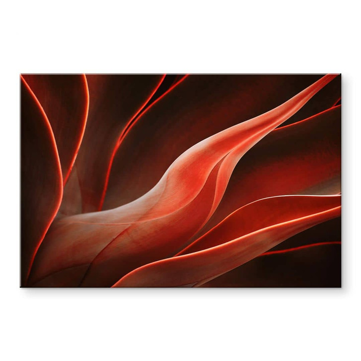 Acrylglasbild Wechsler - Pflanzen Stillleben Agave im Herbst - WA351562
