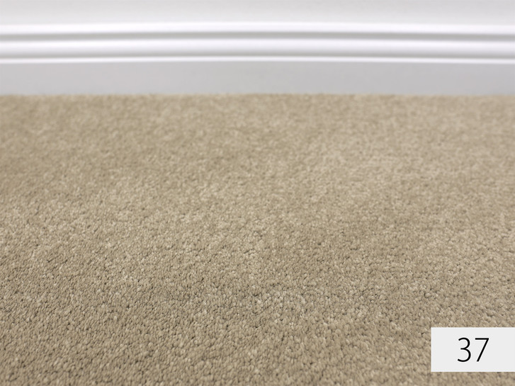 Amaryllis Softflor Teppichboden Meterware in 37 - TS488057