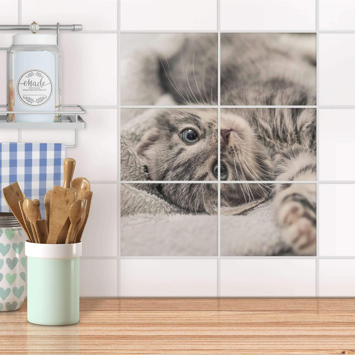 Fliesenfolie quer - Kitty the Cat - CR104480