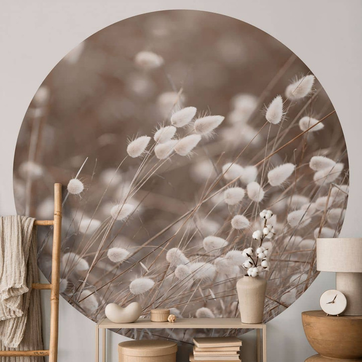 Fototapete Zarte Gräser im Herbstlicht - Collins - Rund - Selbstklebend/Vlies - WA468073