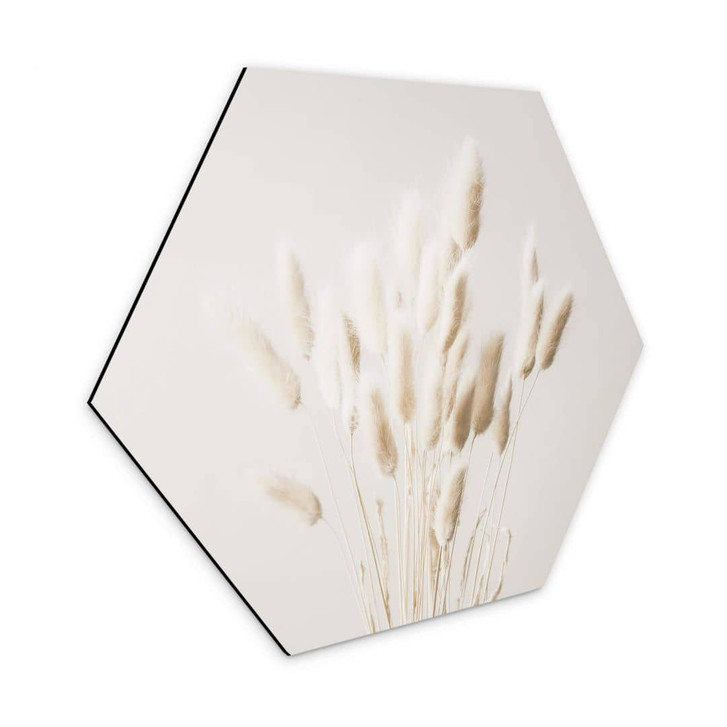 Hexagon - Alu-Dibond 1X Studio - Getrocknete Gräser - WA320651