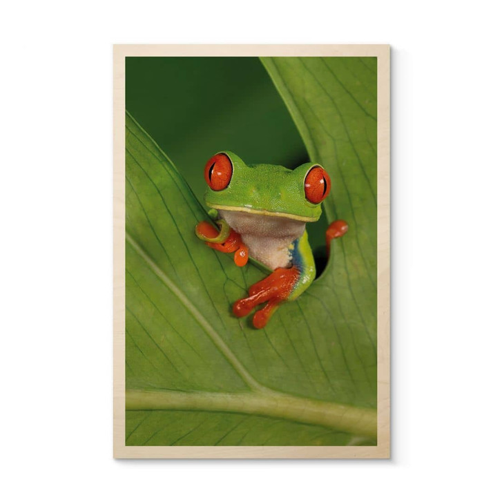 Holzbild Laubfrosch im Regenwald - van Duijn - WA472201