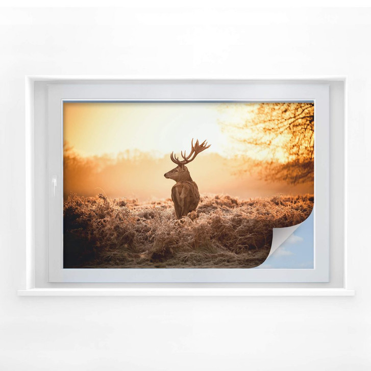 Sichtschutzfolie Majestätischer Hirsch - WA175814