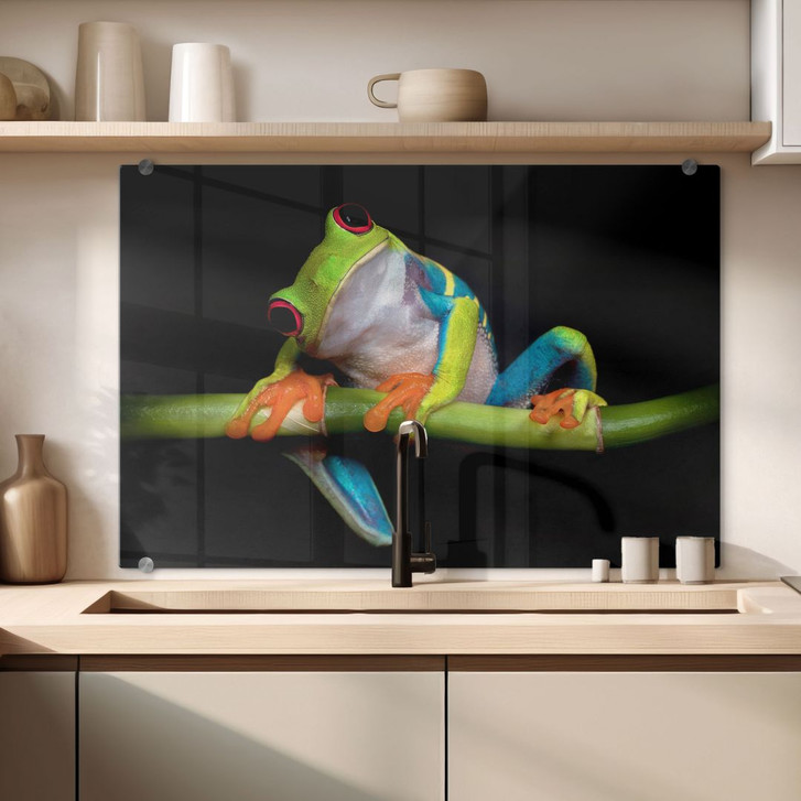 Spritzschutz Valverde - Green Frog - WA179645